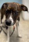 Mari: Not At the Shelter