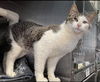 Harvard: Visit at Lynchburg PetSmart