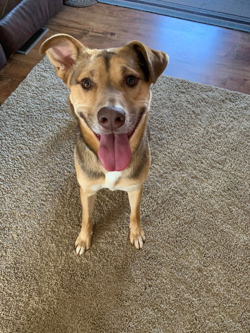 Ruger: courtesy post