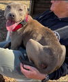 Ellie: At the Shelter
