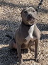 Ellie: At the Shelter