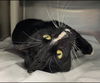 Mystery Sox - Visit at Lynchburg PetSmart