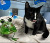 Liam:  Visit at Lynchburg Petsmart