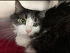 Missy: Visit at Lynchburg PetSmart