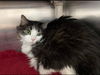Missy: Visit at Lynchburg PetSmart