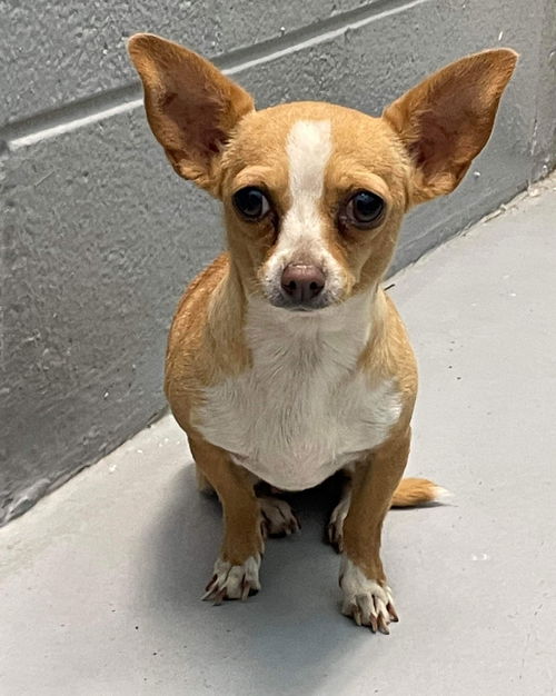 Maria: Not at the Shelter