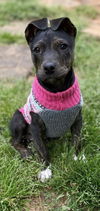 Bryndle - Not At the Shelter