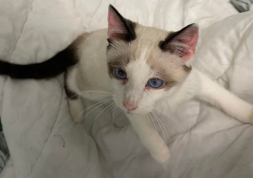 Story: At the shelter