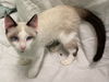 Story: At the shelter