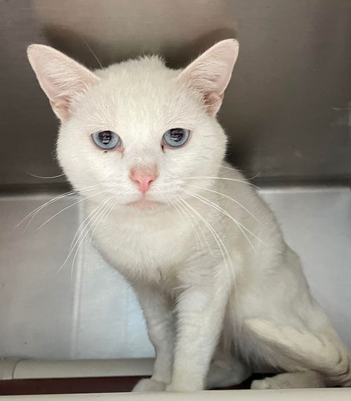 Crete: Not At the shelter