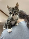 Andy: at the shelter