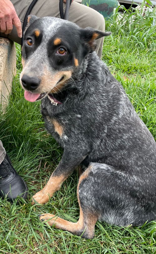Montana Mama: Not at the shelter