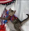 Malbec - Visit at Lynchburg PetSmart