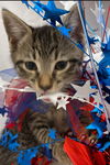 Malbec - Visit at Lynchburg PetSmart