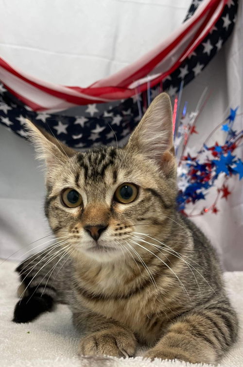 Trillium: Visit at Lynchburg PetSmart