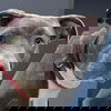 Sosa: Not At the Shelter
