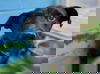 Max - Not At the Shelter