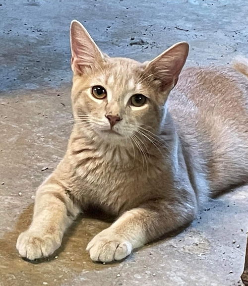 Todd - At the Shelter