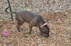 Lilly: At the Shelter