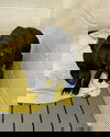 Dixie Chick;Not At the Shelter; Sponsored!!