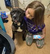 Dixie Chick;Not At the Shelter; Sponsored!!