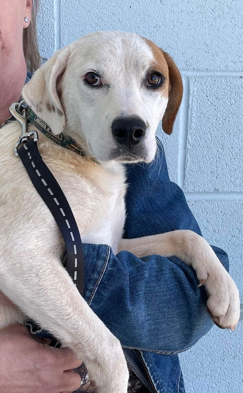 Posey: Not At the Shelter