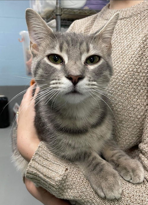 Beck: Visit at Lynchburg PetSmart