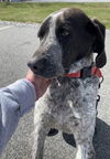 Century: Not At the Shelter
