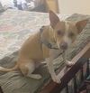 CoCo Connie: Not at the shelter