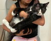William: Not at the Shelter