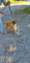 Coco: **Sponsored by MaryBeth D.