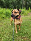 Hera: At the Shelter
