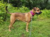 Hera: At the Shelter