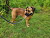 Hera: At the Shelter