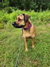 Hera: At the Shelter