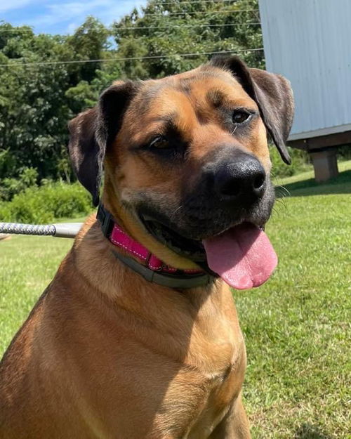 Hera: At the Shelter