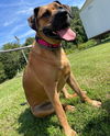 Hera: At the Shelter
