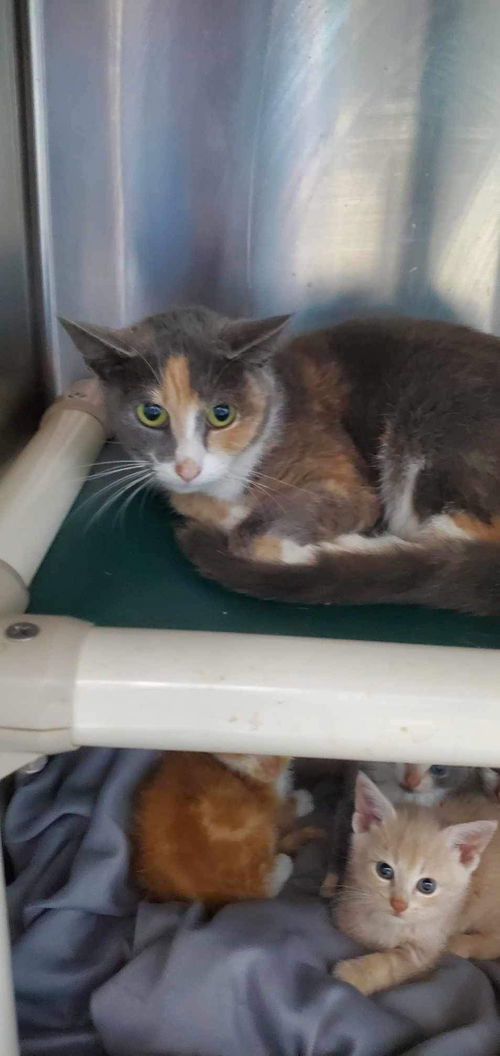 Winter: At the shelter