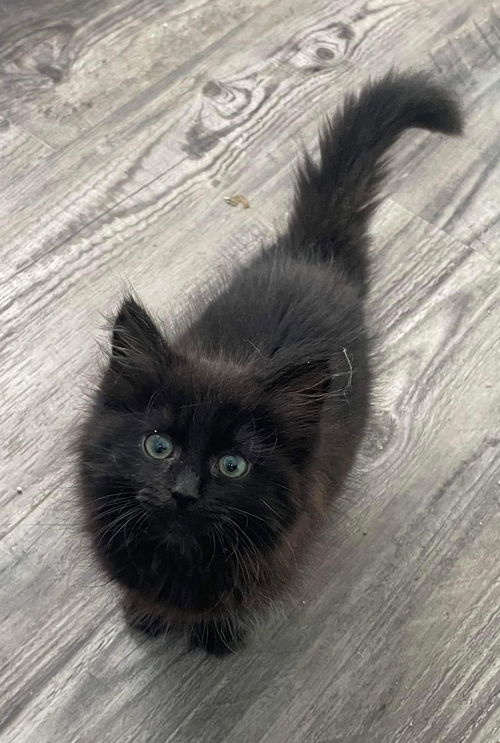 Malachi: Not at shelter