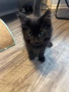 Malachi: Not at shelter