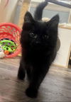 Malachi: Not at shelter