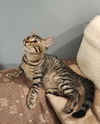 Lucy Lou: Not at the shelter