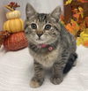 Ethel: Not at the shelter