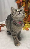 Ethel: Not at the shelter