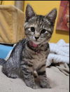 Lucy: Not at the shelter