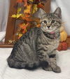 Lucy: Not at the shelter