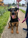 Sango: Not at shelter