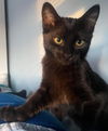 Stella Marie: Visit At Petsmart Lynchburg