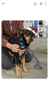 Emma: Not At the shelter