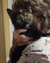 Ember: Not at shelter